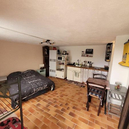 Appartamento Superbe Studio Proches Toutes Commodites Place Du Marche De St Roch Nizza Esterno foto